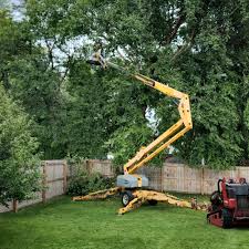 Best Palm Tree Trimming  in Ocean Grove, NJ
