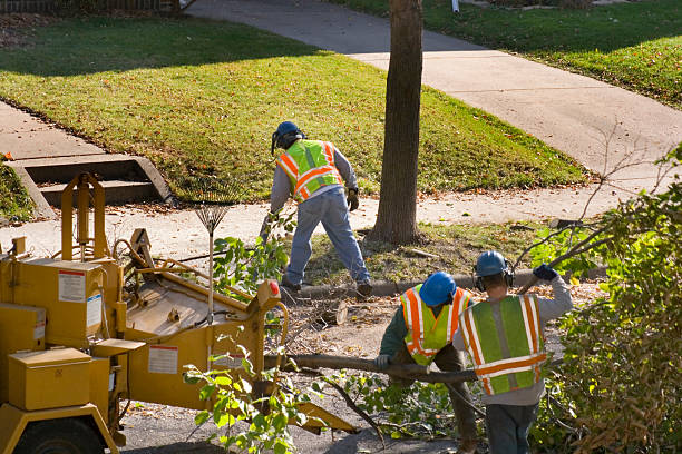 Lawn Irrigation Installation and Maintenance in Ocean Grove, NJ