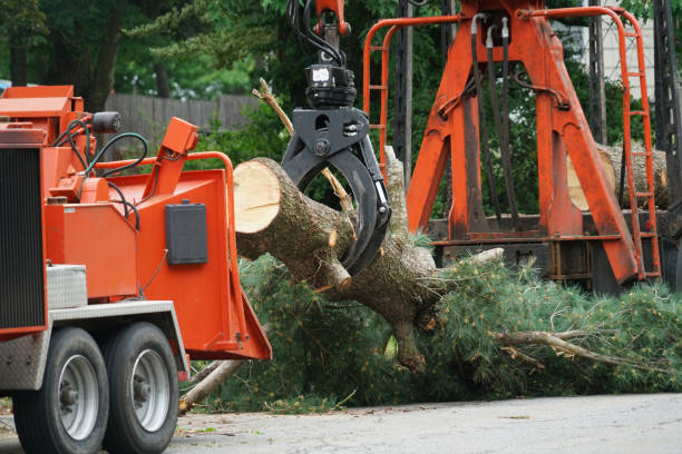Best Lawn Mowing  in Ocean Grove, NJ